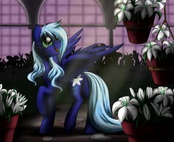 Size: 1160x948 | Tagged: safe, artist:28gooddays, oc, oc only, pegasus, pony, flower, garden, solo