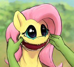 Size: 1236x1128 | Tagged: safe, artist:whiskeypanda, edit, fluttershy, oc, oc:anon, human, pony, g4, bust, creepy, creepy smile, creepyshy, cursed image, drawthread, forced smile, nightmare fuel, not salmon, offscreen character, open mouth, smiling, three quarter view, toothless, wat, wtf