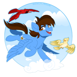 Size: 894x894 | Tagged: safe, artist:sickly-sour, oc, oc:pegasusgamer, bird, pegasus, pony, animal, chest fluff, cloud, flying, full body, happy, male, sky, smiling, wings