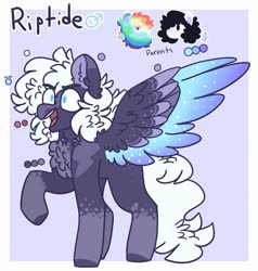 Size: 1341x1407 | Tagged: safe, artist:journeewaters, rainbow dash, oc, oc:pelito, oc:riptide, pegasus, pony, g4, chest fluff, colored wings, male, multicolored wings, offspring, parent:oc:pelito, parent:rainbow dash, parents:canon x oc, reference sheet, stallion, wings