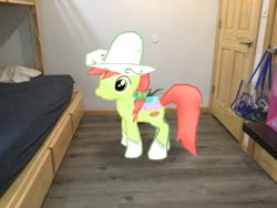 Size: 2046x1536 | Tagged: safe, edit, editor:topsangtheman, gameloft, peachy sweet, earth pony, pony, g4, apple family member, augmented reality, irl, photo