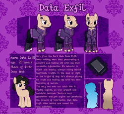 Size: 4000x3700 | Tagged: safe, artist:paradiseskeletons, oc, oc only, oc:data exfil, reference sheet, solo
