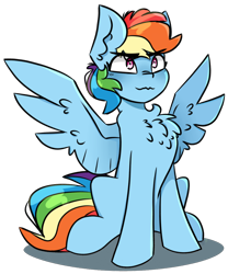 Size: 900x1080 | Tagged: safe, artist:pointdelta, rainbow dash, pegasus, pony, g4, chest fluff, cute, dashabetes, eyebrows, female, fluffy, mare, simple background, sitting, spread wings, transparent background, wings