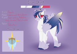Size: 3500x2454 | Tagged: safe, artist:nobleclay, oc, oc only, oc:silver shield, pony, feathered fetlocks, female, high res, mare, offspring, parent:princess cadance, parent:shining armor, parents:shiningcadance, reference sheet, solo