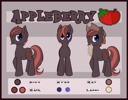 Size: 800x626 | Tagged: safe, artist:pingwinowa, oc, oc:appleberry, earth pony, pony, hat, lasso, male, reference sheet, rope, solo