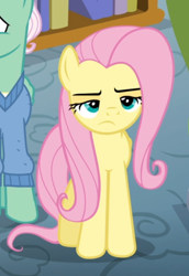 Size: 498x723 | Tagged: safe, screencap, fluttershy, gentle breeze, pegasus, pony, flutter brutter, g4, cropped, female, fluttershy is not amused, male, mare, narrowed eyes, offscreen character, solo focus, stallion, unamused