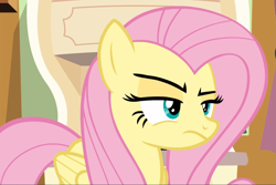 Size: 1401x938 | Tagged: safe, screencap, fluttershy, pegasus, pony, flutter brutter, g4, cropped, female, fluttershy is not amused, mare, narrowed eyes, solo, unamused