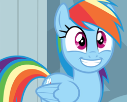 Size: 1174x937 | Tagged: safe, screencap, rainbow dash, pegasus, pony, g4, stranger than fan fiction, cropped, cute, dashabetes, excited, female, mare, smiling, solo