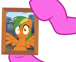 Size: 1855x1515 | Tagged: safe, artist:mint-light, artist:ponyrailartist, oc, oc only, oc:naviga, oc:skydashie, g4, non-compete clause, photo, picture frame, scene interpretation, show accurate, simple background, transparent background