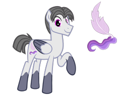 Size: 4500x3375 | Tagged: safe, artist:avatarmicheru, oc, oc only, oc:plume, pegasus, pony, base used, male, raised hoof, simple background, solo, stallion, transparent background, two toned wings, wings