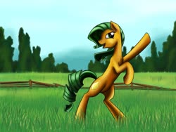 Size: 1024x768 | Tagged: safe, artist:28gooddays, oc, oc only, pony, fence, open field, solo