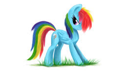 Size: 1024x614 | Tagged: safe, artist:keepare, rainbow dash, pegasus, pony, g4, female, grass, mare, simple background, solo, white background