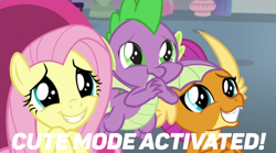 Size: 748x417 | Tagged: safe, edit, edited screencap, screencap, fluttershy, smolder, spike, dragon, pegasus, pony, g4, sweet and smoky, cute, cute mode activated, dragoness, female, male, meme, puppy dog eyes, shyabetes, smolderbetes, spikabetes, text, wide eyes, winged spike, wings