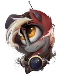 Size: 2400x3000 | Tagged: safe, artist:ignis, oc, oc only, oc:ember (ignis), pegasus, pony, bust, high res, portrait, simple background, solo, transparent background