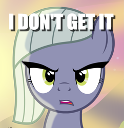 Size: 1307x1350 | Tagged: safe, edit, limestone pie, earth pony, pony, g4, caption, female, i don't get it, image macro, mare, reaction image, text