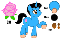 Size: 2409x1563 | Tagged: safe, artist:darkstorm619, oc, oc only, oc:dew drop, pony, unicorn, cutie mark, fetlock tuft, male, reference sheet, simple background, solo, transparent background