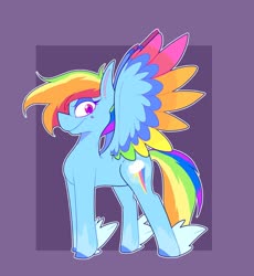 Size: 1104x1200 | Tagged: safe, artist:gatorcatz, rainbow dash, pegasus, pony, g4, colored wings, female, g5 concept leak style, g5 concept leaks, multicolored wings, rainbow dash (g5 concept leak), rainbow wings, simple background, solo, spread wings, wings