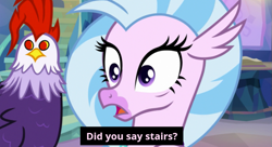 Size: 745x406 | Tagged: safe, edit, edited screencap, screencap, edith, silverstream, cockatrice, g4, student counsel, caption, duo, female, stairs, text, that hippogriff sure does love stairs, treehouse of harmony
