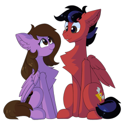 Size: 1200x1200 | Tagged: safe, artist:itazurana, oc, oc only, oc:luckyshot, oc:scribble draws, pegasus, pony, 2020 community collab, derpibooru community collaboration, chest fluff, luckyscribble, oc x oc, shipping, simple background, size difference, transparent background