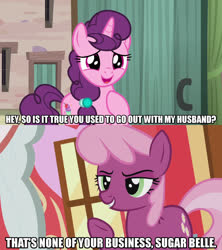 Size: 1280x1440 | Tagged: safe, edit, edited screencap, screencap, cheerilee, sugar belle, earth pony, pony, unicorn, crusaders of the lost mark, g4, hard to say anything, caption, dialogue, female, image macro, mare, meme, passive aggressive, raised hoof, smiling, smirk, text, underhoof