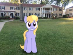 Size: 3264x2448 | Tagged: safe, artist:bluemeganium, edit, editor:topsangtheman, cloud kicker, pegasus, pony, g4, grass, high res, houses, irl, looking at you, photo, photoshop, ponies in real life, tree