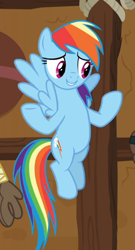 Size: 458x849 | Tagged: safe, screencap, rainbow dash, pegasus, pony, g4, yakity-sax, cropped, female, flying, mare, solo, spread wings, wings