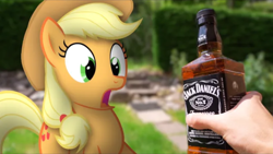 Size: 1280x720 | Tagged: safe, artist:stormxf3, applejack, earth pony, pony, g4, alcohol, applejack daniel's, irl, jack daniels, open mouth, outdoors, photo, ponies in real life, shocked expression, youtube