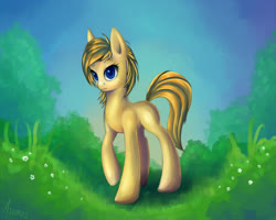 Size: 1400x1120 | Tagged: safe, artist:asimos, oc, oc only, pony, blank flank, solo