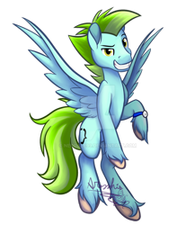 Size: 1024x1178 | Tagged: safe, artist:aresshia, oc, oc only, oc:curly brackets, pegasus, pony, commission, simple background, solo, transparent background, yellow eyes