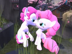 Size: 1024x768 | Tagged: safe, artist:horsesplease, pinkie pie, g4, 3d, bubble berry, cherry blossoms, female, flower, flower blossom, gmod, kissing, male, rule 63, sakura pie, self ponidox, selfcest, ship:bubblepie, shipping, source filmmaker, straight