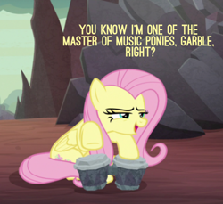 Size: 449x411 | Tagged: safe, edit, edited screencap, screencap, fluttershy, pegasus, pony, g4, sweet and smoky, bongos, cropped, female, implied garble, implied octavia melody, implied vinyl scratch, looking at someone, mare, master of music, musical instrument, narrowed eyes, solo