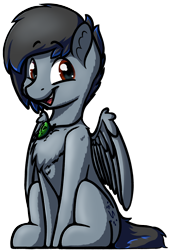 Size: 2718x4032 | Tagged: safe, artist:topicranger, derpibooru exclusive, oc, oc only, oc:topic, pegasus, pony, 2020 community collab, derpibooru community collaboration, brown eyes, chest fluff, colored, jewelry, looking at you, male, necklace, simple background, sitting, smiling, smiling at you, solo, stallion, transparent background, wings