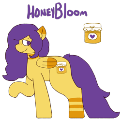 Size: 2000x2000 | Tagged: safe, artist:rigbythememe, oc, oc only, oc:honeybloom (rigbythememe), pegasus, pony, high res, reference sheet, simple background, solo, transparent background