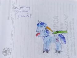 Size: 4032x3016 | Tagged: safe, artist:horsesplease, party favor, oc, oc:anon, g4, brushing, doggie favor, i didn't listen, lined paper, panting, traditional art