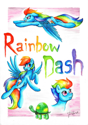 Size: 1645x2338 | Tagged: safe, artist:puggie, rainbow dash, tank, pony, g4, female, for sale, solo, traditional art, watercolor painting