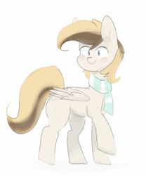 Size: 1600x1925 | Tagged: safe, artist:c0pter, oc, oc only, oc:coffe, pegasus, pony, clothes, pegasus oc, scarf, simple background, solo, white background