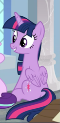 Size: 345x703 | Tagged: safe, screencap, twilight sparkle, alicorn, pony, a horse shoe-in, g4, cropped, cute, female, looking at someone, mare, offscreen character, sitting, smiling, solo, twiabetes, twilight sparkle (alicorn)
