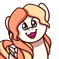 Size: 1000x1000 | Tagged: safe, artist:sugar morning, oc, oc only, oc:apricot drift, pegasus, pony, apricot, commission, freckles, simple background, smiling, solo, sugar morning's smiling ponies, transparent background, ych result