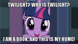 Size: 600x338 | Tagged: safe, edit, edited screencap, screencap, twilight sparkle, alicorn, pony, amending fences, g4, book, bookhorse, caption, cute, female, grin, happy, image macro, library, looking at you, meme, open mouth, peeking, silly, silly pony, smiling, solo, text, that pony sure does love books, twiabetes, twilight sparkle (alicorn)