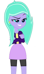 Size: 2462x4091 | Tagged: safe, oc, oc only, oc:stormy wings, equestria girls, g4, clothes, crossed arms, female, simple background, transparent background