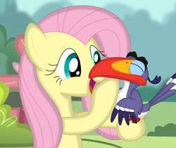 Size: 3486x2933 | Tagged: safe, artist:porygon2z, fluttershy, bird, hornbill, pegasus, pony, g4, bust, chin scratch, crossover, cute, disney, duo, female, high res, holding, looking at something, mare, open mouth, outdoors, petting, shyabetes, sitting, smiling, the lion king, wings, zazu