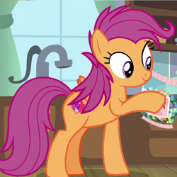 Size: 1000x1000 | Tagged: safe, edit, edited screencap, screencap, scootaloo, pegasus, pony, g4, growing up is hard to do, cropped, female, mare, older, older scootaloo, smiling, solo