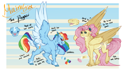 Size: 1500x854 | Tagged: safe, artist:seffiron, fluttershy, rainbow dash, pony, g4, feathered fetlocks, fluffy, redesign, tail feathers, two toned wings, wings