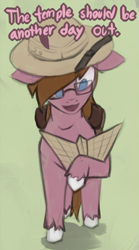 Size: 683x1228 | Tagged: safe, artist:marsminer, oc, oc only, oc:dusty tomes, pony, glasses, hat, solo