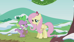 Size: 1920x1080 | Tagged: safe, screencap, fluttershy, spike, bird, dragon, pegasus, pony, g4, winter wrap up, clipboard, female, looking at each other, mare, snow