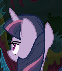 Size: 699x805 | Tagged: safe, screencap, mean twilight sparkle, pony, g4, the mean 6, cropped, female, rear view, smiling, smirk, solo