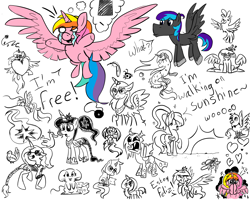 Size: 2000x1600 | Tagged: safe, artist:angiepeggy2114, oc, oc:evening light, alicorn, bird, changeling, changeling queen, duck, griffon, insect, ladybug, mouse, pegasus, pony, seapony (g4), unicorn, alicorn oc, cheese, female, food, hat, heart, horn, mare, sketch, sketch dump, spanish, walking on sunshine, white eyes