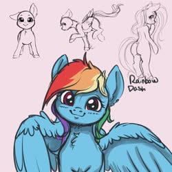 Size: 4000x4000 | Tagged: safe, artist:miokomata, rainbow dash, earth pony, pegasus, pony, semi-anthro, g4, arm hooves, bald, blushing, butt, chest fluff, cute, dashabetes, female, floppy ears, looking at you, mare, plot, simple background, sketch, white background