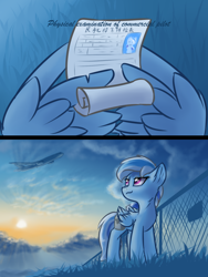 Size: 1200x1600 | Tagged: safe, artist:ravistdash, derpibooru exclusive, oc, oc only, oc:ravist, pegasus, pony, comic:about me, chinese, cloud, looking up, paper, plane, sky, smiling, solo, standing, sunset, translation