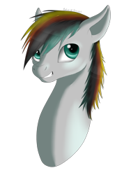 Size: 2121x2828 | Tagged: safe, artist:dreamyartcosplay, oc, oc only, earth pony, pony, bust, earth pony oc, grin, high res, male, simple background, smiling, solo, stallion, transparent background